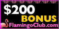 Visit the Flamingo Club
